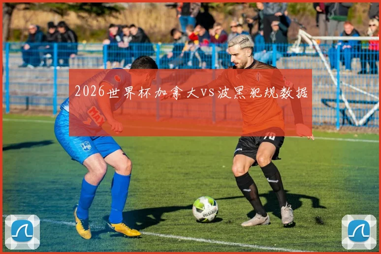 2026世界杯加拿大vs波黑犯规数据
