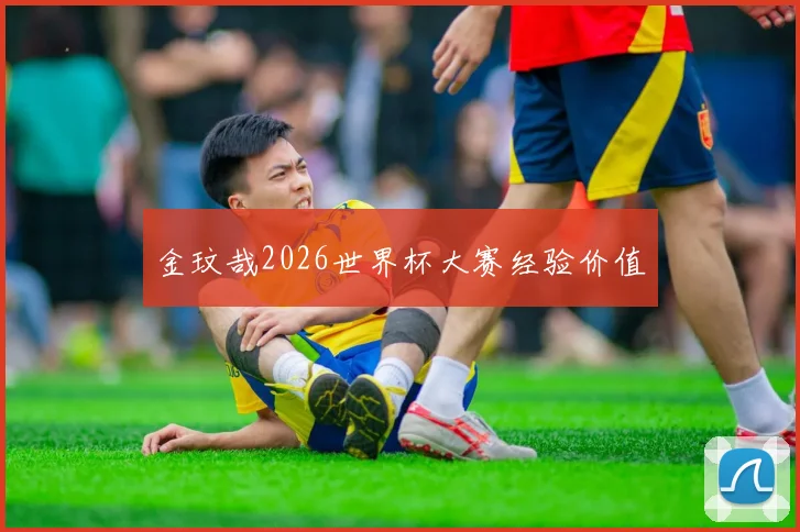 金玟哉2026世界杯大赛经验价值