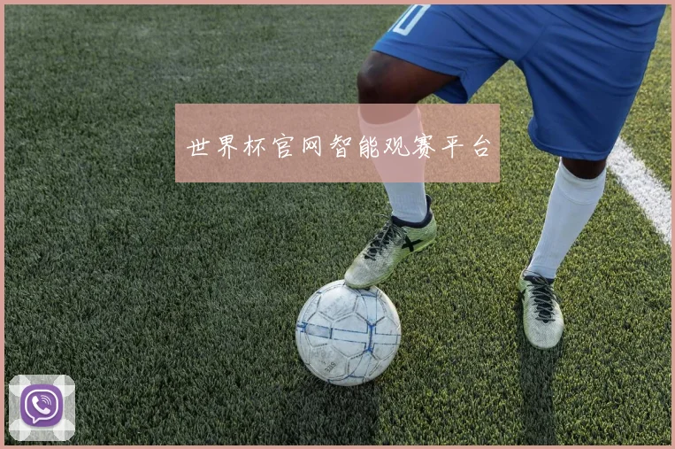 世界杯官网智能观赛平台