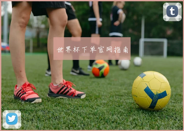 世界杯下单官网指南