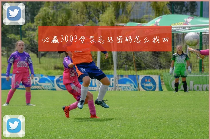 必赢3003登录忘记密码怎么找回
