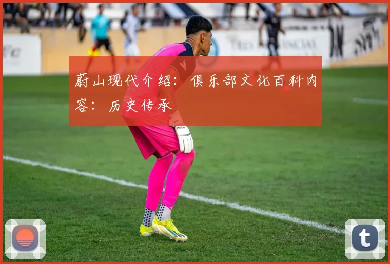 蔚山现代介绍:俱乐部文化百科内容:历史传承