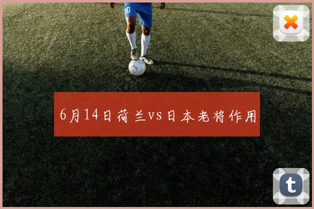 6月14日荷兰vs日本老将作用